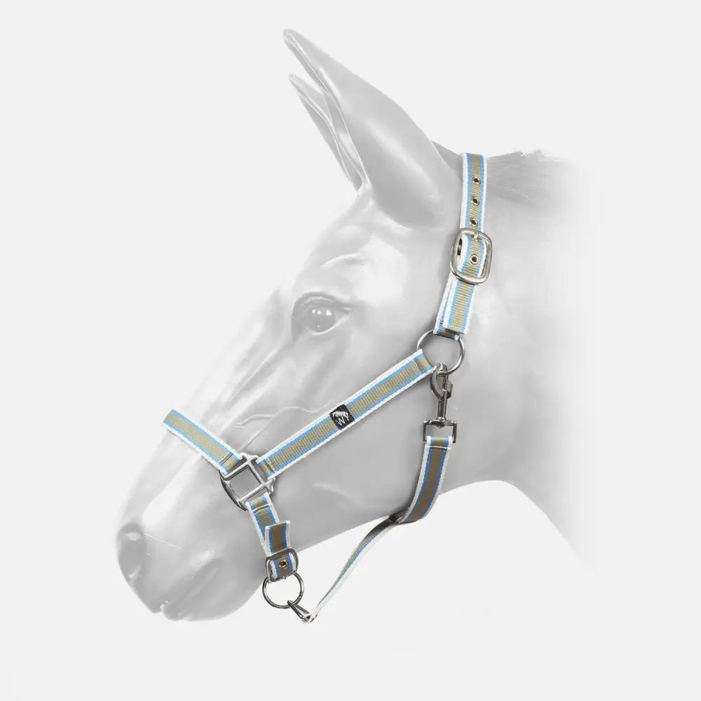 Silver and light blue reflective hcw01 w-horse harvey headcollar navy with flexible webbing and metallic buckles