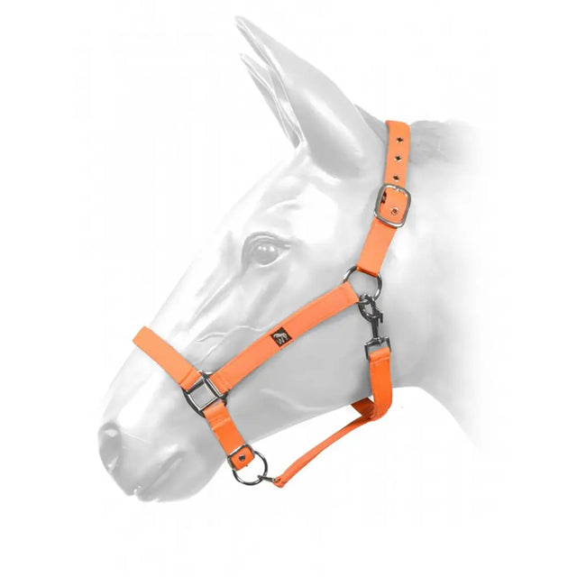 Hcw01 W-Horse Harvey Headcollar Neon Orange Full Neon Orange Headcollars & Lead Ropes