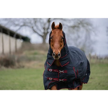 Heavy Weight Combo Turnout Rugs Rhinegold Aspen 350g Black / Red 4'6" Turnout Rugs