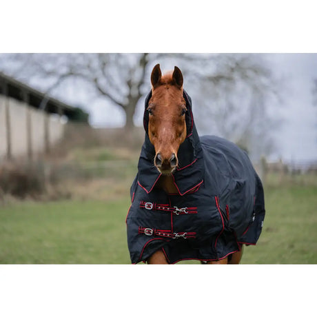 Black horse heavy weight combo turnout rug rhinegold aspen 350g with red trim and silver buckles