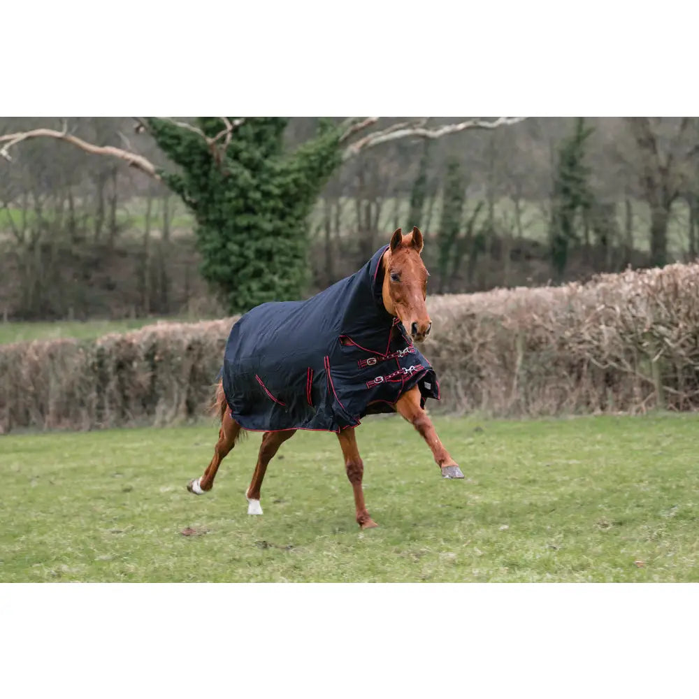 A dark navy rhinegold aspen 350g heavy weight combo turnout rug with red trim snug on a chestnut horse