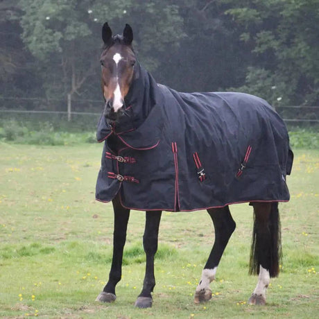 Heavy Weight Combo Turnout Rugs Rhinegold Aspen 350g Black / Red 5'9 Rhinegold Turnout Rugs Barnstaple Equestrian Supplies