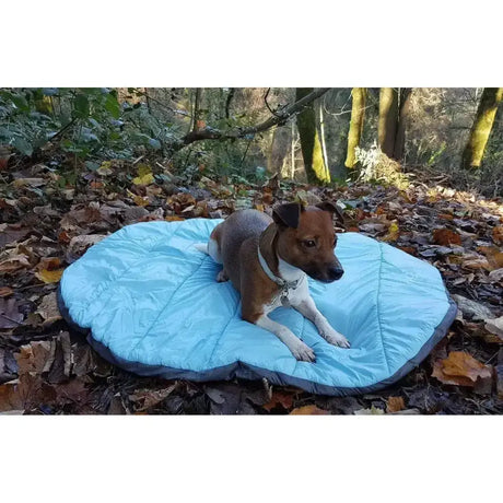 Light blue quilted henry wag alpine travel snuggle bed with dark gray border perfect for cozy pet travel