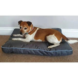 Dark gray henry wag brecon adventure bed with light blue piping elevated beds perfect for cozy pups
