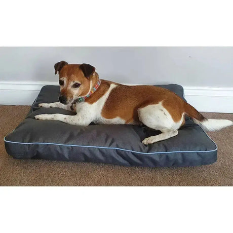 Dark gray henry wag brecon adventure bed with light blue piping elevated beds perfect for cozy pups