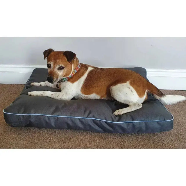 Dark gray henry wag brecon adventure bed with light blue piping elevated beds perfect for cozy pups