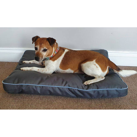 Henry Wag Brecon Adventure Bed  Pet Beds & Blankets