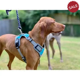 Henry Wag Dog Travel Harness Small Blue/Grey Dog Harness