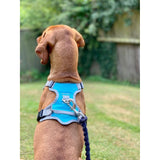 Henry Wag Dog Travel Harness  Pet Harnesses