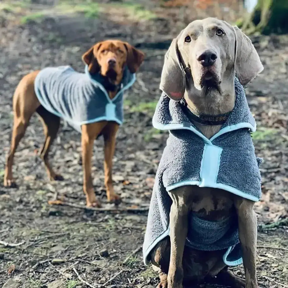 Gray and light blue fleece henry wag drying coat with hood removes water and keeps dogs warm after bath