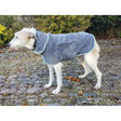 Gray plush henry wag drying coat with light blue trim and front pocket that removes water from dogs fast