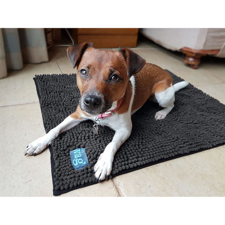 Henry Wag Microfibre Noodle Pet Mat  Pet Cooling & Drying
