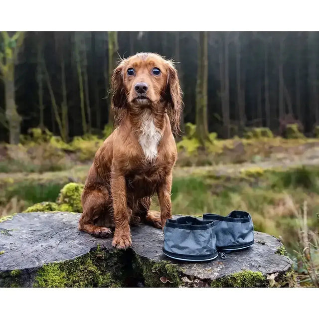 Dark gray foldable waterproof dog booties with black trim and silver zippers from henry wag snaffle pack bowl set