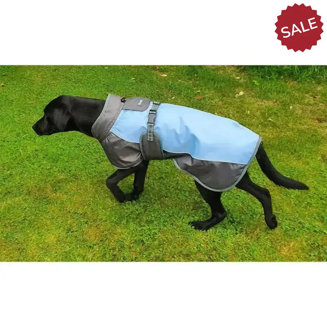 Henry Wag Waterproof Dog Coat X Smallmall (35 cm) Blue/Grey Dog Coat