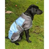 Light blue and gray henry wag waterproof dog coat with reflective trim lets owners spend longer outdoors