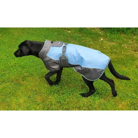 Light blue and gray henry wag waterproof dog coat with adjustable straps and reflective detailing for longer outdoor fun