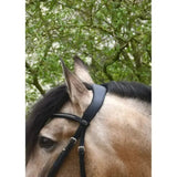 Heritage Anatomical Cavesson Bridle Black Pony Cavesson Bridle