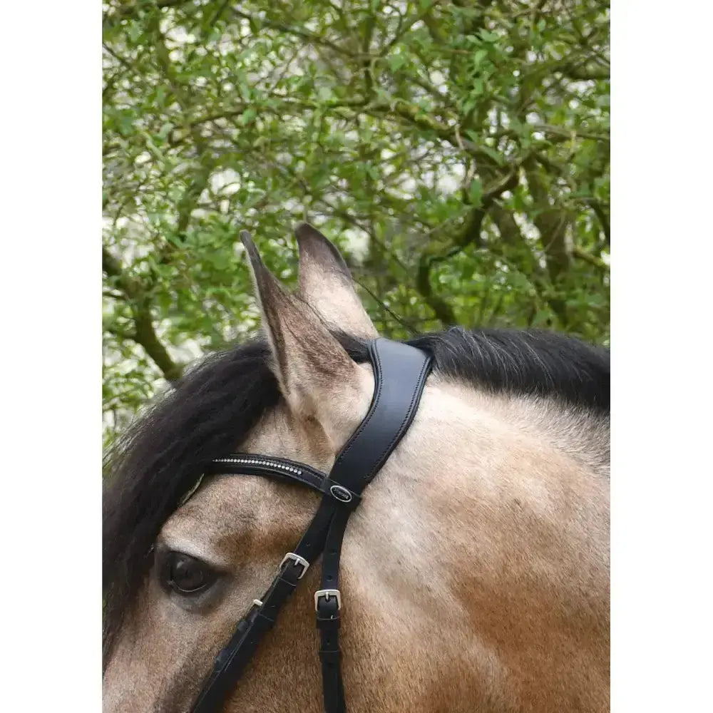 Black leather heritage anatomical cavesson bridle with silver hardware and soft leather curved brow and oval logo