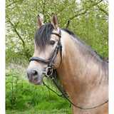 Heritage Anatomical Cavesson Bridle Black Pony Cavesson Bridle