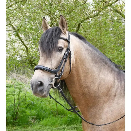 Black leather heritage anatomical cavesson bridle with silver hardware and soft leather curved brow for horses