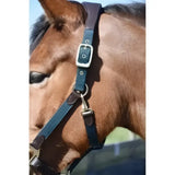 Heritage anatomical leather dark blue woven headstall with brown leather accents and silver buckle on horse