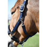 Navy blue nylon and leather heritage anatomical leather lined headcollar with silver hardware for horses
