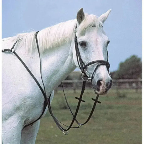 Black leather heritage english leather breastplate with silver hardware and detachable running martingale detail