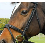 Heritage english leather bridle in black with silver hardware, flash noseband, and raised padded browband