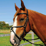 Heritage English Leather Bridle With Mexican Noseband Black Cob Bridles Barnstaple Equestrian Supplies