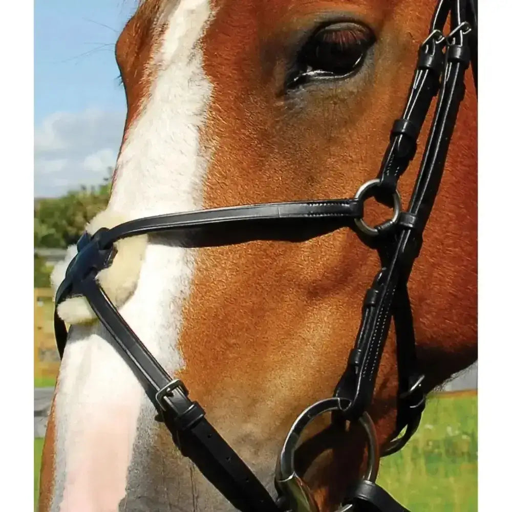 Heritage english leather black bridle with silver hardware and mexican noseband for horses