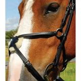 Heritage english leather black bridle with silver hardware and mexican noseband for horses