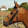 Heritage English Leather Bridle With Raised Cavesson Noseband Black Shetland Bridles Barnstaple Equestrian Supplies