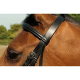 Heritage English Leather Bridle With Raised Cavesson Noseband Black Shetland Bridles