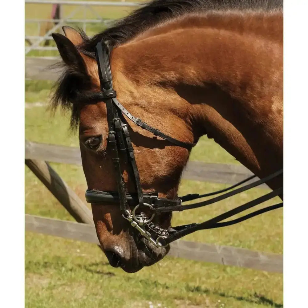 Heritage English Leather Comfort Double Bridle Black Cob Bridles Barnstaple Equestrian Supplies