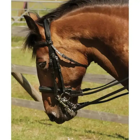 Heritage English Leather Comfort Double Bridle Black Cob Bridles