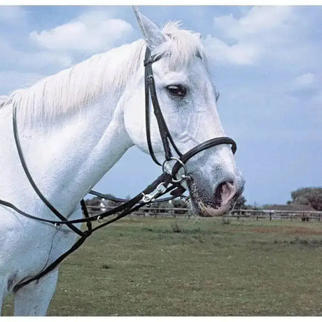 A white horse wearing heritage english leather market harborough black leather bridle with silver hardware