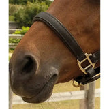 Heritage english leather padded headcollar in black leather with gold metal buckle and ring showing quality headcollar features