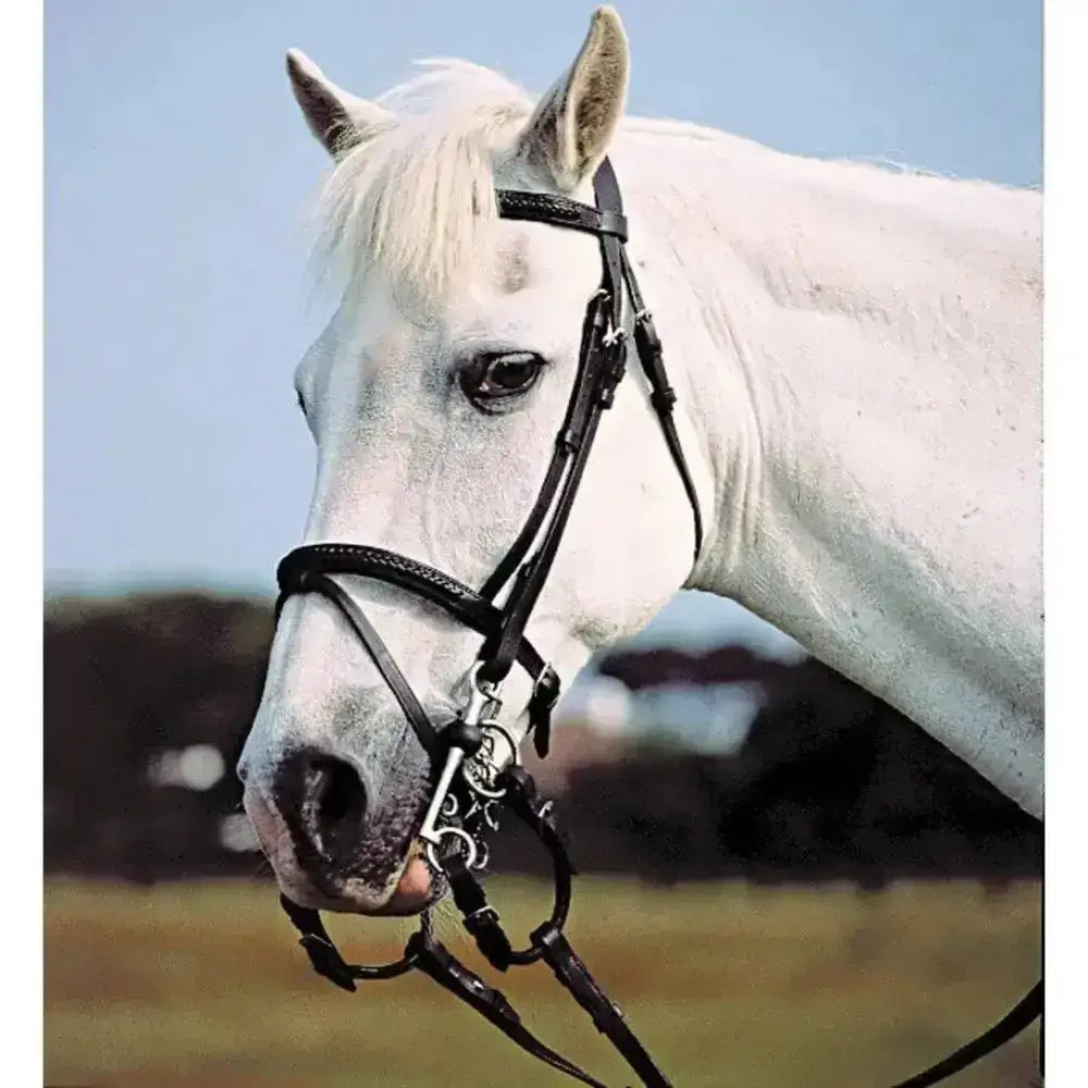Black leather english leather pelham bridle with silver metal hardware and leather pelham roundings