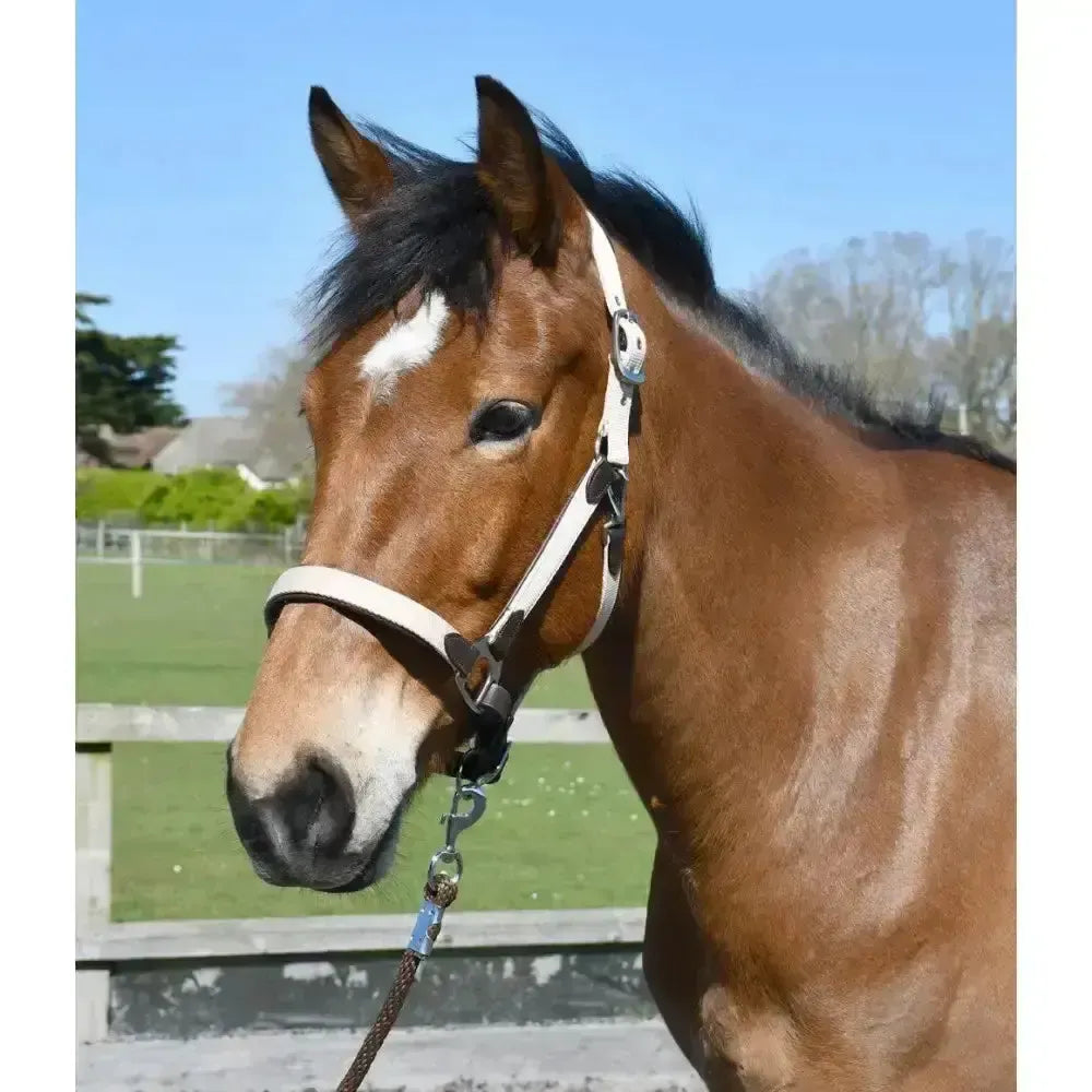 Heritage Padded Leather Lined Headcollar Brown/Cream Pony Leather Headcollars