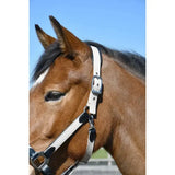 Heritage padded leather white leather lined headcollar with black metal buckles and fully adjustable noseband