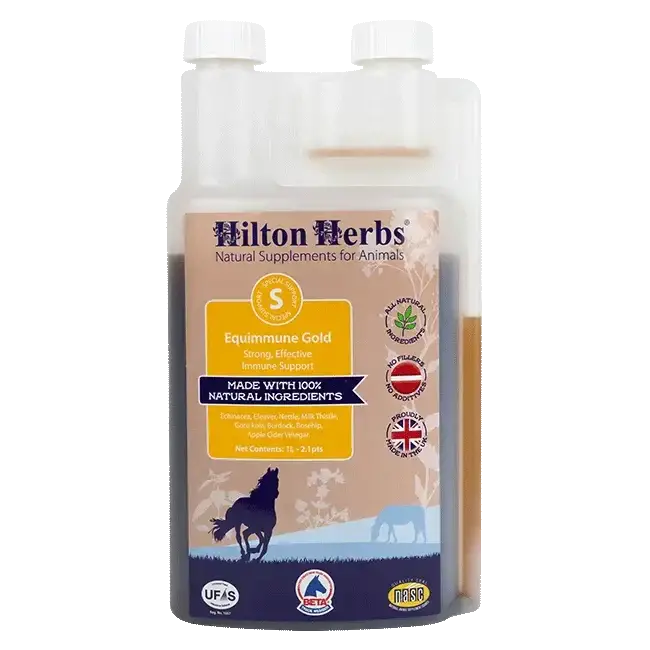 Hilton Herbs Equimmune Gold 1 Litre Immune Support Supplements Barnstaple Equestrian Supplies