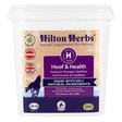 Hilton Herbs Hoof & Health 4kg Horse Hoof Supplements