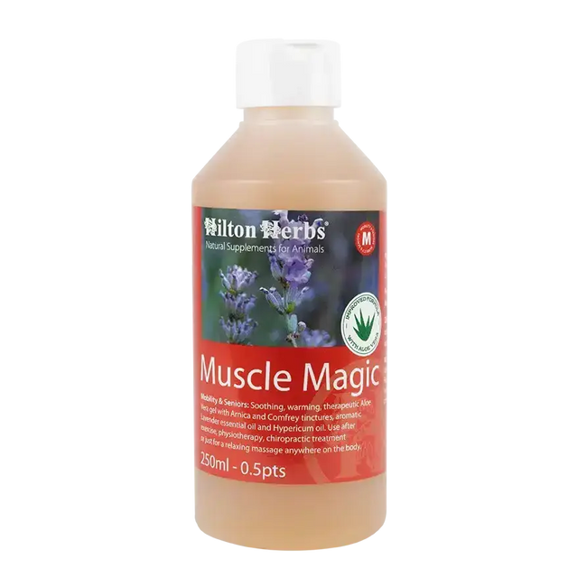 Hilton Herbs Muscle Magic 500ml Liniment Barnstaple Equestrian Supplies