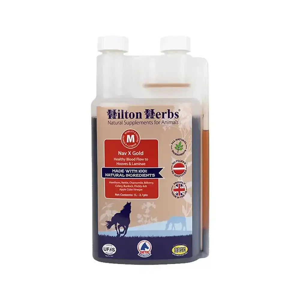 Hilton herbs nav x gold amber liquid in a transparent plastic bottle with white caps supports normal blood supply