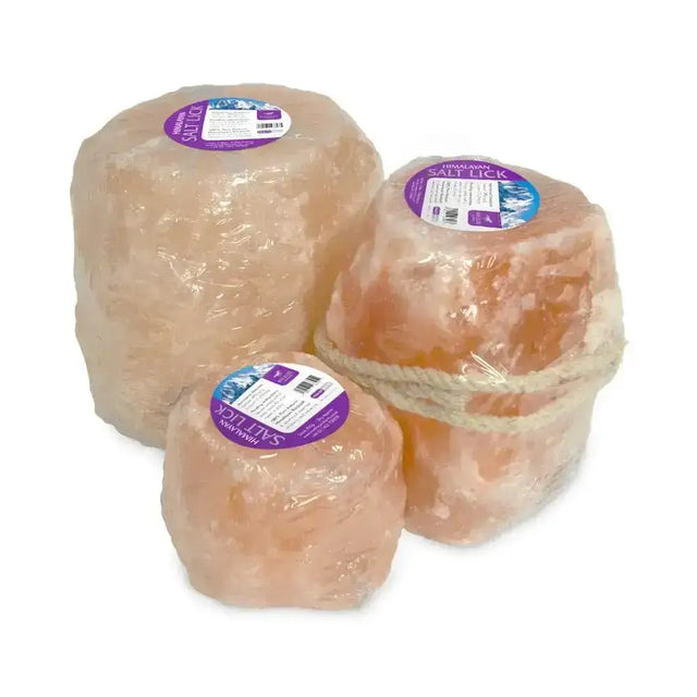 Three himalayan salt lick rocks wrapped in clear plastic with purple and blue labels showing therapeutic properties