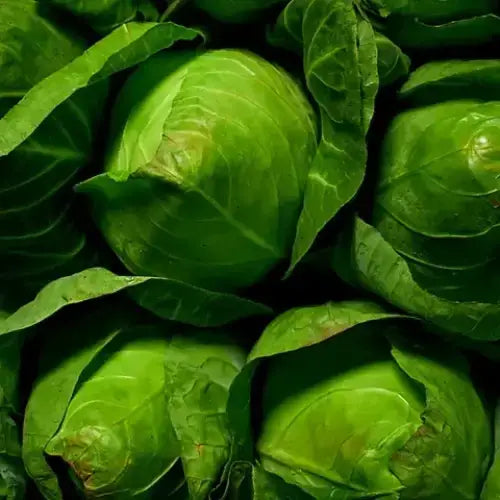 Hispy Cabbage vegetables
