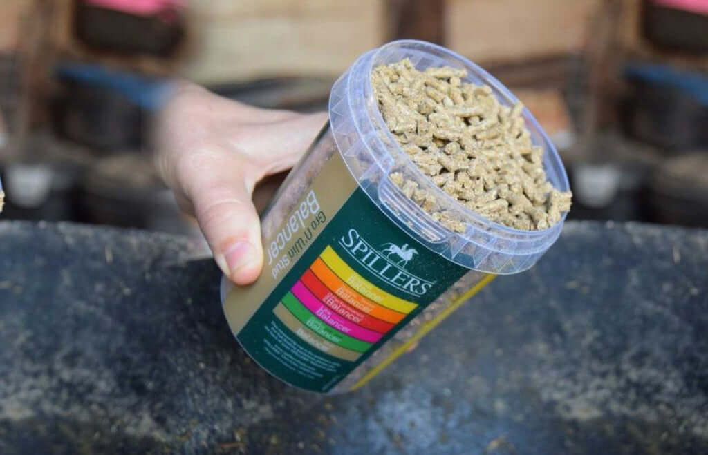 North Devon Horse Feed Stockists - Allen & Page, Baileys, Dodson & Horrell, Emerald Green, Gain Horse Feed,Spillers, Topspec all available for click & collection or delivery to your stable door with our van delivery service