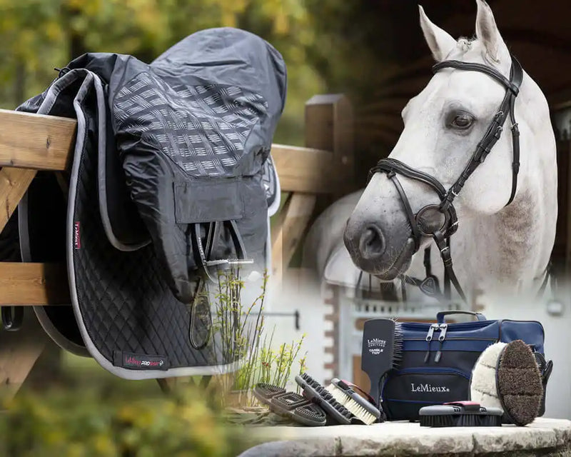 Horswear and Horse Tack from top brands like LeMieux, Dever, or looking for great value then check out Rhinegold Tack and Horsewear