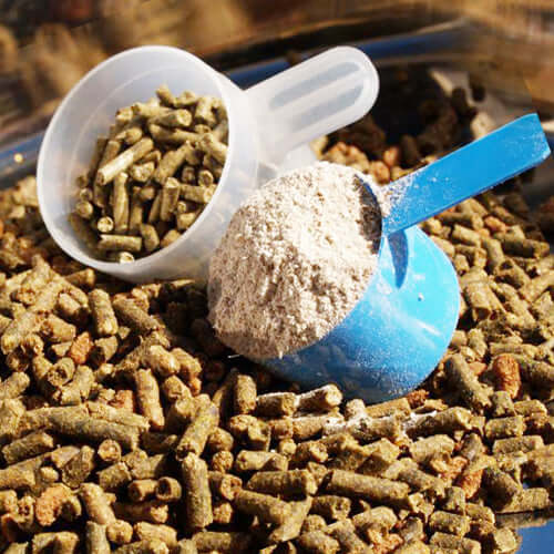 Horse Supplements