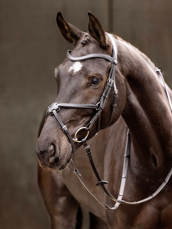 Horse Tack, Bridles and Stirrup Leathers